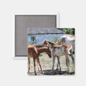 美しい馬好きの贈り物 マグネット (正面/裏面)