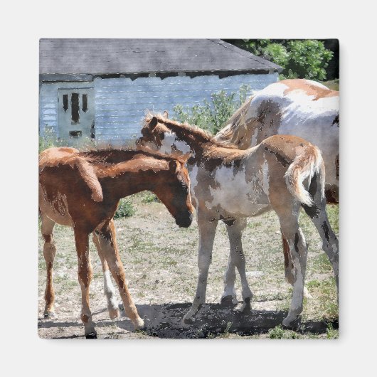 美しい馬好きの贈り物 マグネット (正面)