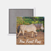美しい馬好きの贈り物 マグネット (正面/裏面)