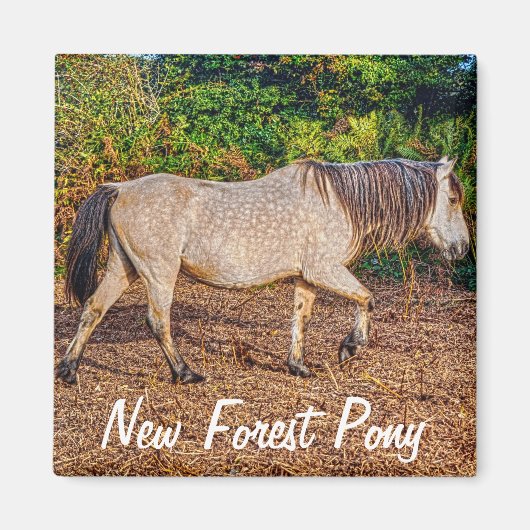 美しい馬好きの贈り物 マグネット (正面)