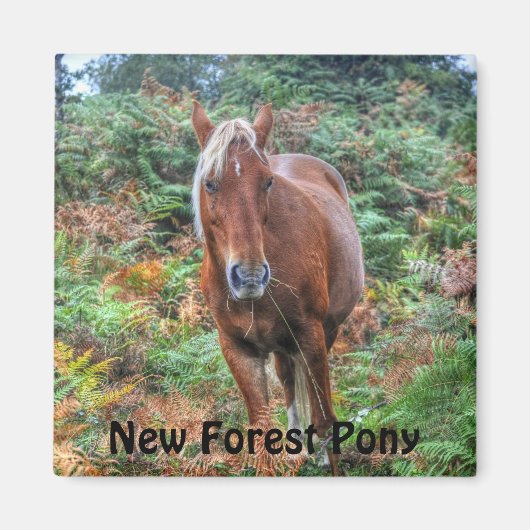 美しい馬好きの贈り物 マグネット (正面)