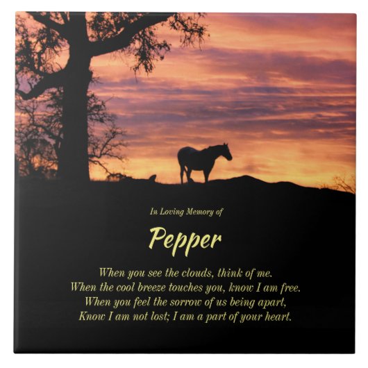 美しい馬碑とスピリチュアル詩セラム タイル (正面)