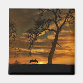 美しい馬磁石 マグネット (正面)