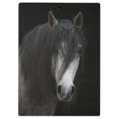 美しい馬 クリップボード (裏面)