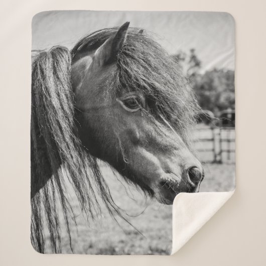 美しい馬 シェルパブランケット (正面)
