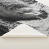 美しい馬 シェルパブランケット (3/4)