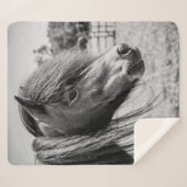 美しい馬 シェルパブランケット (正面(横))