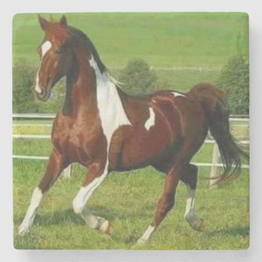 美しい馬 ストーンコースター (正面)