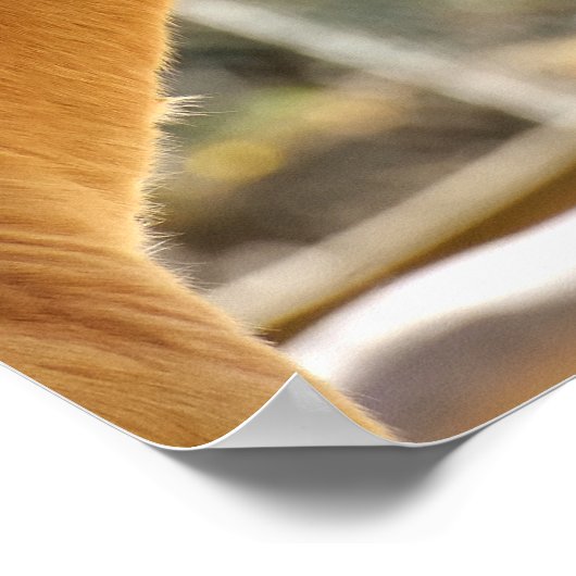 美しい馬 ポスター (角)