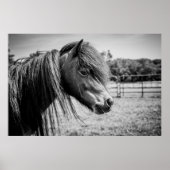 美しい馬 ポスター (正面)