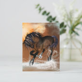 美しい馬 ポストカード (スタンド正面)