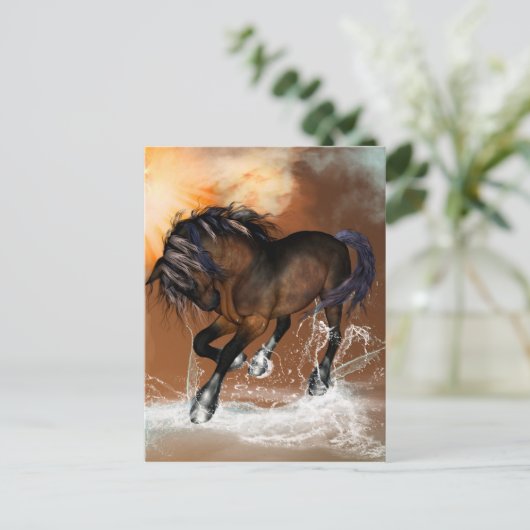 美しい馬 ポストカード (スタンド正面)