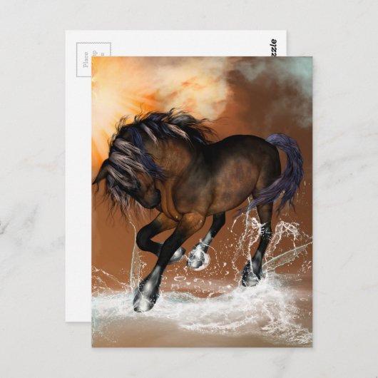 美しい馬 ポストカード (正面/裏面)