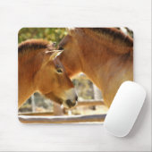 美しい馬 マウスパッド (マウス)