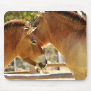 美しい馬 マウスパッド