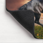 美しい馬 マウスパッド (コーナー)