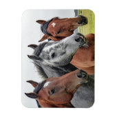 美しい馬 マグネット (縦)