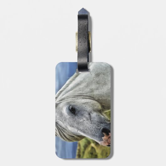 美しい馬 ラゲッジタグ (裏面縦)