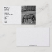 美しい馬 名刺 (正面/裏面)