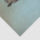 美しい馬 薄葉紙 (詳細)