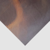 美しい馬 薄葉紙 (詳細)