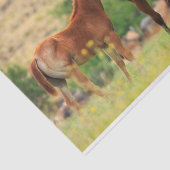 美しい馬 薄葉紙 (詳細)