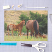 美しい馬 薄葉紙 (クラフト)