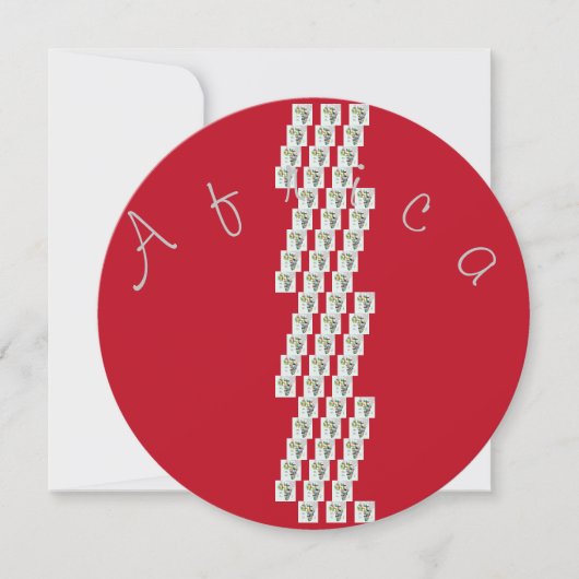 美しい驚くべきア頭が切れるフリカ (正面)