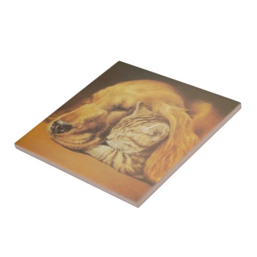 美しい驚くべき猫と犬の赤ちゃんアートプリント タイル (側面)