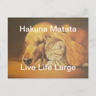 美しい驚くべき猫と犬の赤ちゃんアートプリント ポストカード