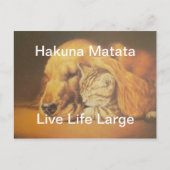 美しい驚くべき猫と犬の赤ちゃんアートプリント ポストカード (正面)