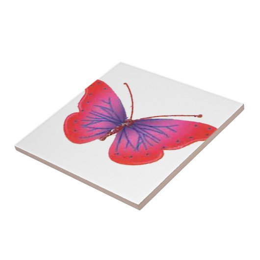 美しい驚くべき赤いピンクと紫の蝶 タイル (側面)