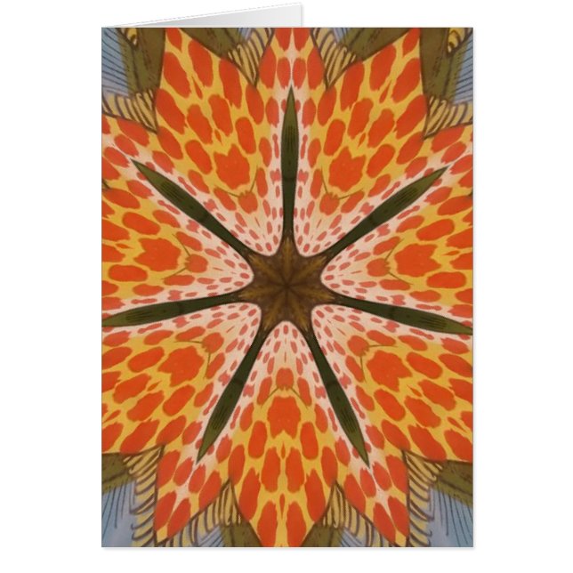 美しい驚フェミニンくべきアフリカデザイン動物 (正面)