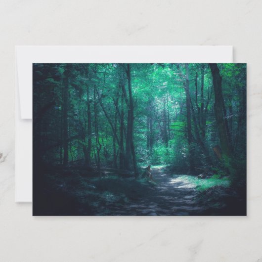 美しい魅惑の森の森の自然写真 ノートカード (正面)