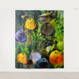 美しい魚の写真用背景 タペストリー