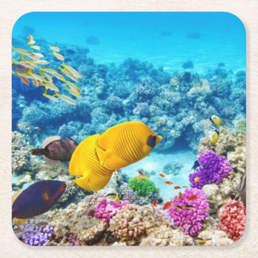 美しい魚コースターセット スクエアペーパーコースター (正面)