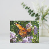 美しい鮮やかなオレンジ色の（昆虫）オオカバマダラ、モナーク蝶の写真 ポストカード (スタンド正面)