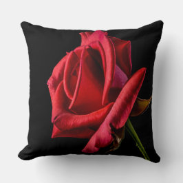 美しい鮮やかな赤のバラがクローズアップ クッション
