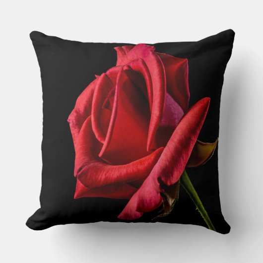 美しい鮮やかな赤のバラがクローズアップ クッション (正面)