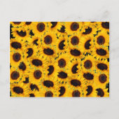 美しい鮮やかひまわりの自然フローラプリント ポストカード (正面)