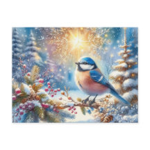 美しい鳥と冬の風景6