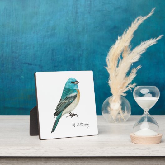 美しい鳥のプラーク フォトプラーク (インサイチュ)