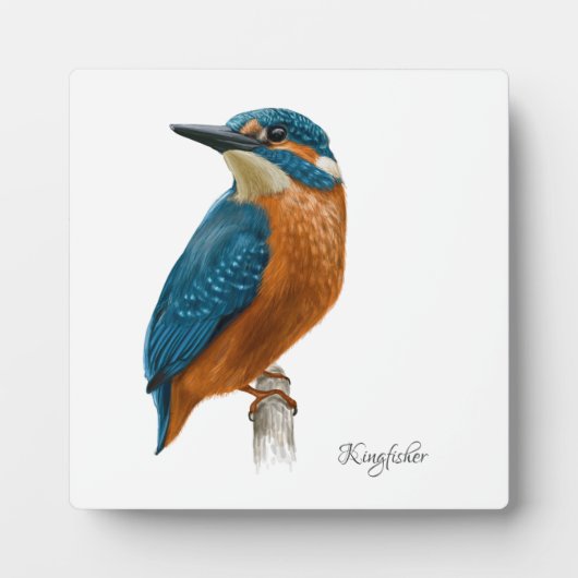 美しい鳥のプラーク フォトプラーク (正面)