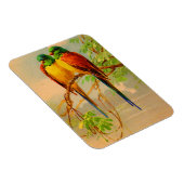 美しい鳥のプリント マグネット (右側)