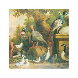 美しい鳥のヴィンテージ感じ集 メタルプリント