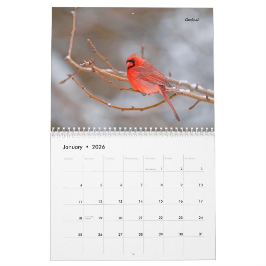 美しい鳥の写真の壁カレンダー歌の鳥 カレンダー (1月 2026)
