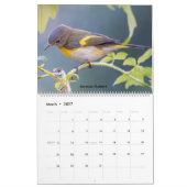 美しい鳥の写真2025カレンダーブルーバード カレンダー (3月 2027)