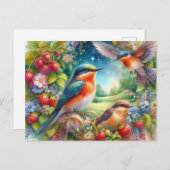 美しい鳥の夏の風景 ポストカード (正面/裏面)