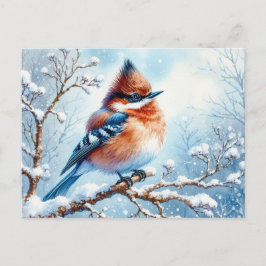 美しい鳥の白絵を描の ポストカード