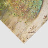 美しい鳥カラフル孔雀ヴィンテージ絵画ズ 薄葉紙 (詳細)